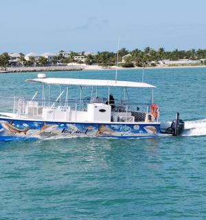 a blue and white boat in the water