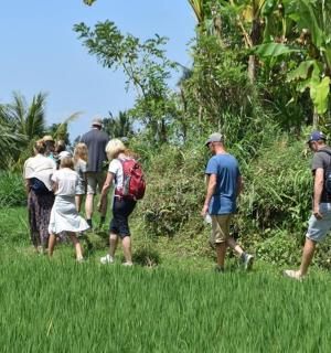 一群人在草地上行走