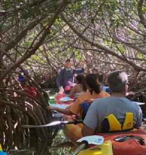 a group of people riding on a raft in the woods