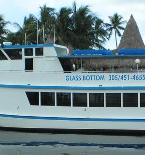 loď na vodě s palmami v pozadí