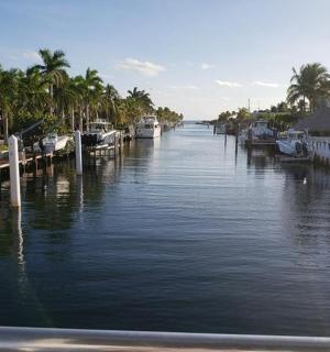 一条河，河上有船停靠在长满棕榈树的码头