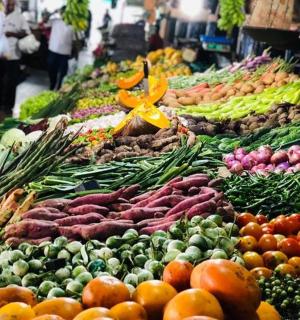 výstava ovoce a zeleniny na trhu