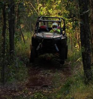 a jeep driving down a trail in the woods