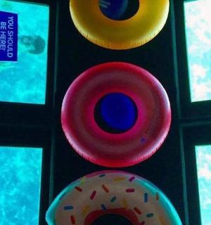 a group of colorful discs on a wall with windows