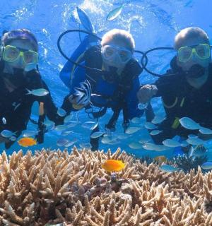 a group of three people swimming over a coral reef