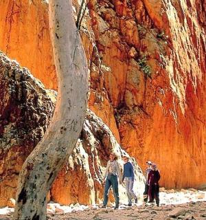 一群人站在岩壁前