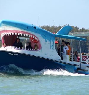 a blue boat with a large shark on the water