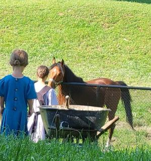 dvě děti a kůň pijící vodu z koryta