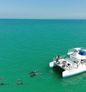 a group of sharks swimming around a boat in the water