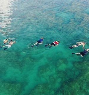a group of people swimming in the water