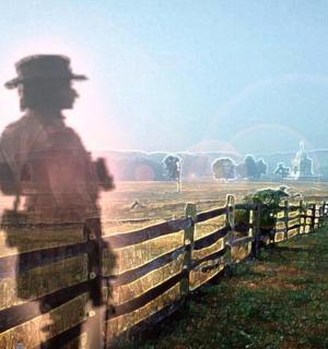 a man standing behind a fence in a field