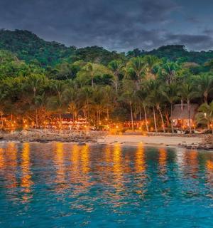 a view of a beach with palm trees at night