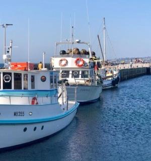 Tři lodě kotví u mola ve vodě