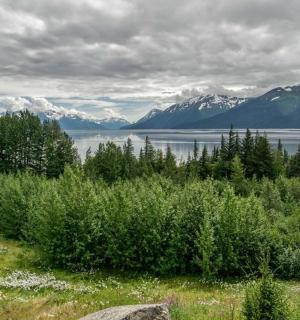 a view of a large body of water with mountains