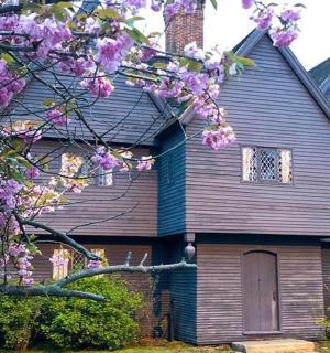 一栋蓝色的房子，门前有紫色的花朵