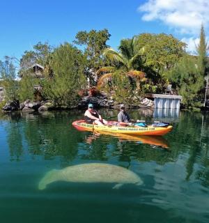 dva lidé v kajaku ve vodní ploše