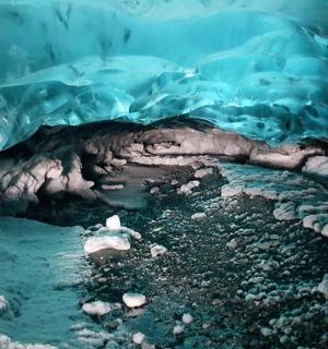 冰洞里有一只北极熊在水中