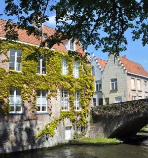 一座横跨河流的桥梁，位于一座有建筑物的城市中