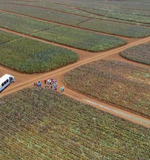 a group of people walking on a dirt road with a bus