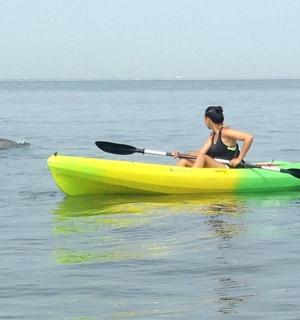 žena v kajaku s delfínem ve vodě