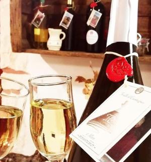 a bottle of wine and two glasses on a table