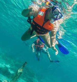 穿着潜水服在水中游泳的人