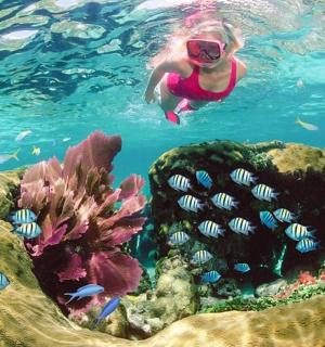 在珊瑚礁附近的水中游泳的人