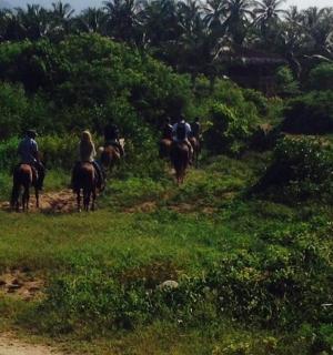eine Gruppe von Menschen, die auf einem Feld reiten