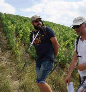 a group of men standing in a vineyard