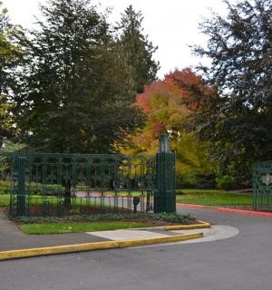 公园里有树的绿色铁门