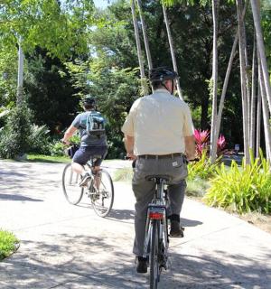 skupina lidí jedoucích na kolech po cestě