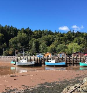 一群船停在aarf附近的水中