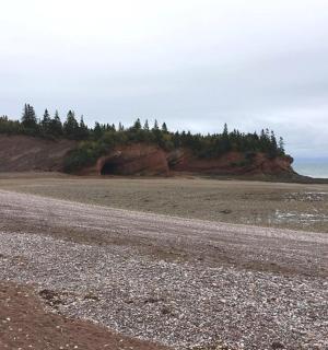 岸边有树木的岩石海滩