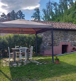 院子里遮阳伞下的桌子和椅子