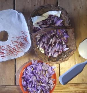 桌子上摆着一篮紫色的花和一碗紫甘蓝
