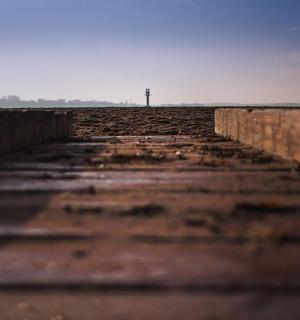 远处有一根电线杆的土路