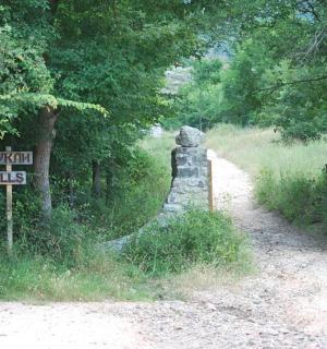 a sign on a dirt road next to a forest