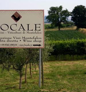 田野里一家葡萄酒商店的招牌