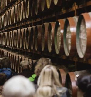 a group of people walking through a wine cellar