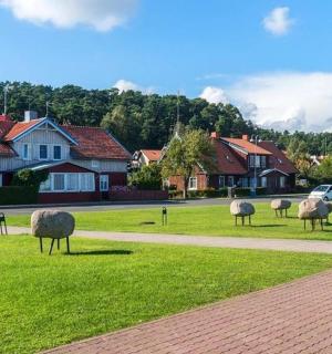 一群羊站在街道附近的草地上