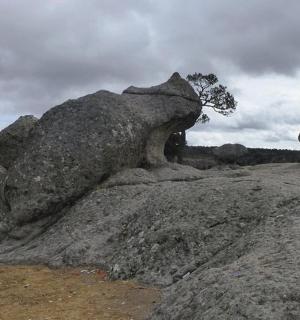 eine Gruppe großer Felsen mit einem Baum im Hintergrund
