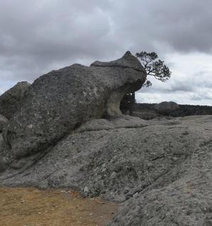 ein Steinhaufen auf einem Feld mit einem Baum