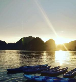 a group of boats sitting on the water at sunset