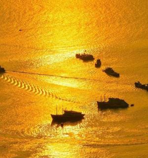 a group of boats in the water at sunset