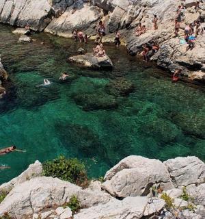 a group of people swimming in a body of water