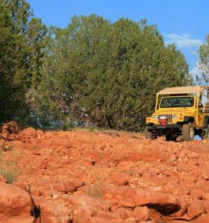 žlutý kamion jedoucí po nezpevněné cestě