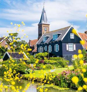 一座有钟楼的房子和一个开着黄花的池塘