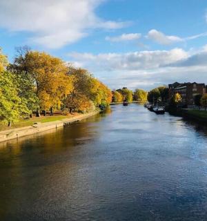 a view of a river with trees and buildings