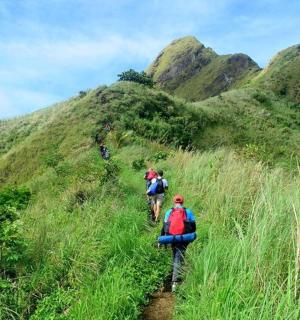 一群人走上草山