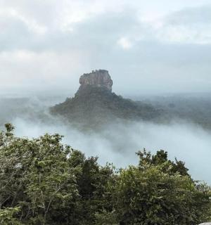 a mountain in the middle of a fog covered forest